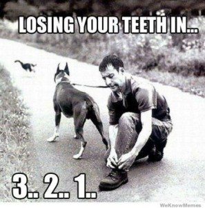1,2,3 Care for the Teeth You Want to Keep - Comfort Dental | Lafayette